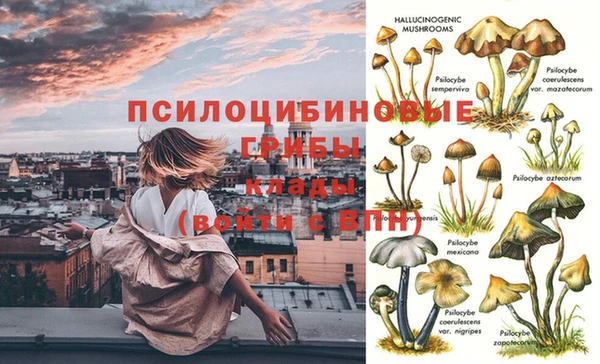 трава Гусев