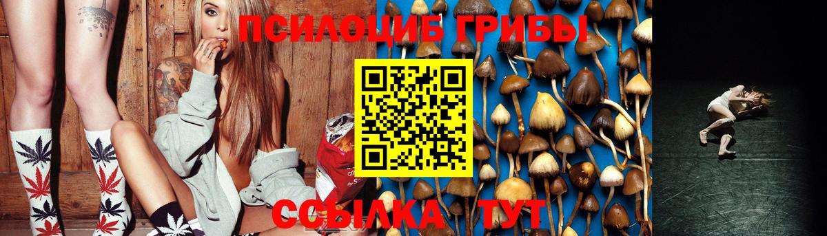 купить наркотик  Галлюциногенные грибы GOLDEN TEACHER  Вход с VPN  Копейск 